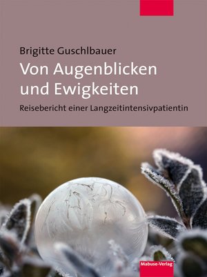 cover image of Von Augenblicken und Ewigkeiten